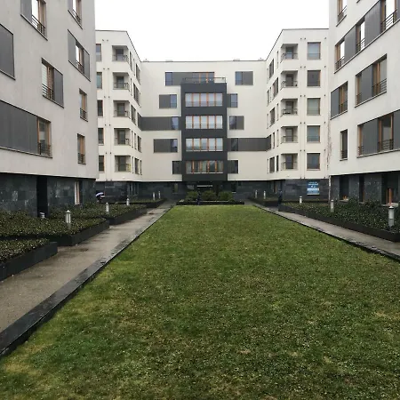 Viva * Kraków